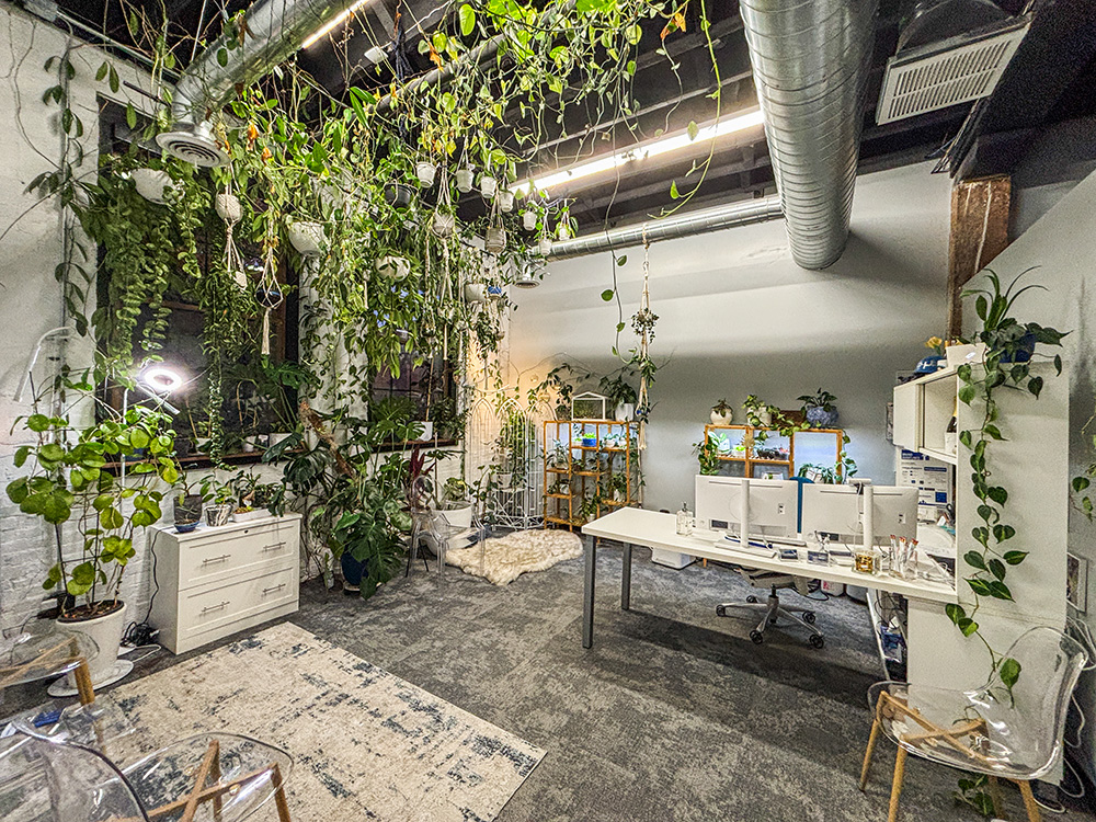 Office with plants